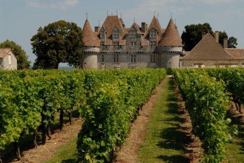 Weinberge in der Dordogne
