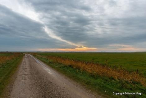 Deichlandschaft in Jütland
