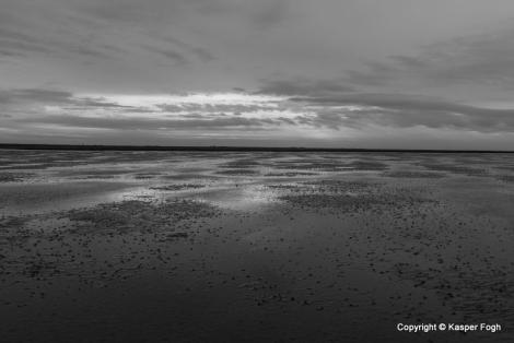 Wattenmeer