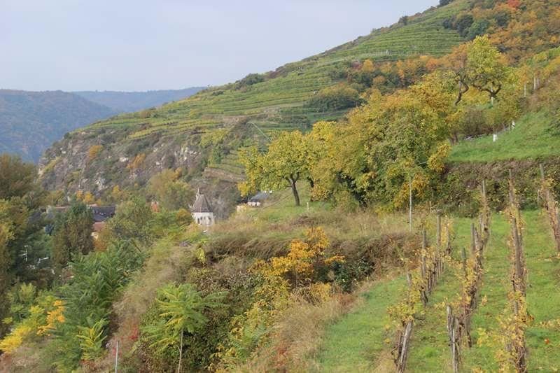 Wanderbare Wachau