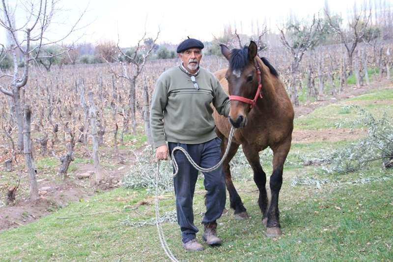 Francisco und sein Pferd