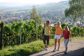 Wandern auf dem Klettgau-Rhein-Weg