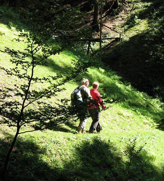Auf dem Lebküchlerweg