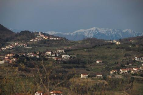 Collio