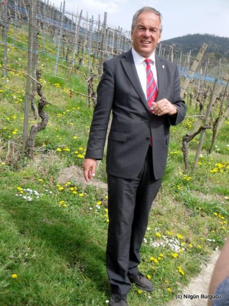 Wein-Guide Octav Reutter