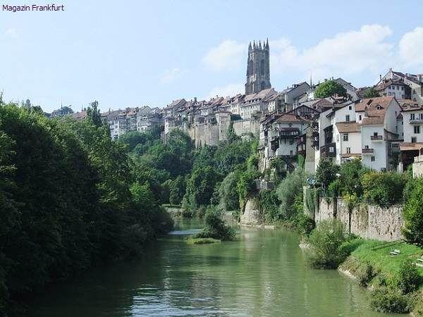 Fribourg und die Saane
