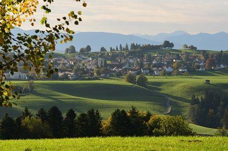 Scheidegg