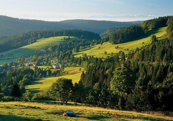 Blick vom Panoramaweg auf den Südschwarzwald
