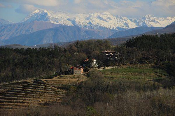 Weinberge und die Alpenkette