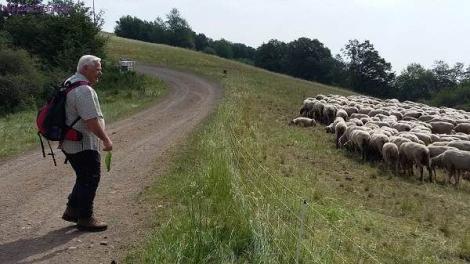 Wanderung Vulkaneifel