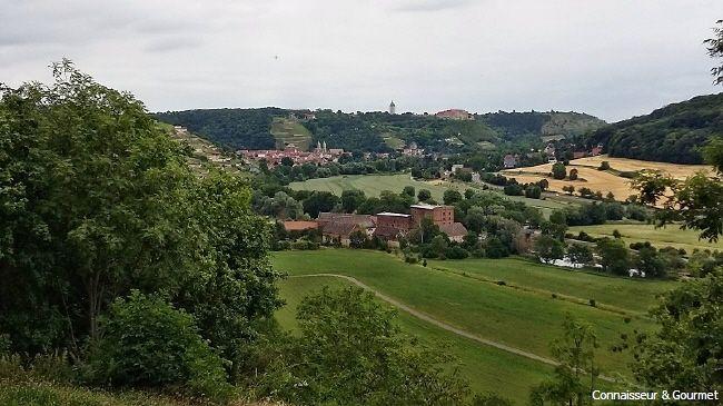 Blick auf Freyburg