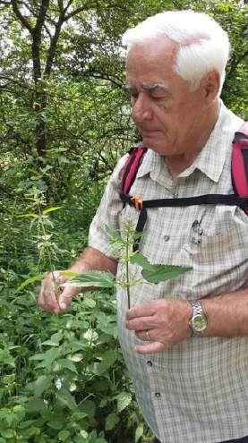 Karl Weiler erklärt die Pflanzen
