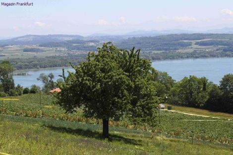 Vully und der Murtensee
