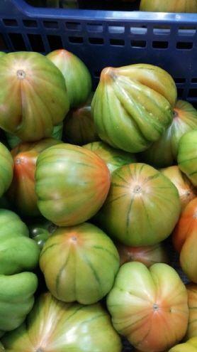Tomaten in Valencia