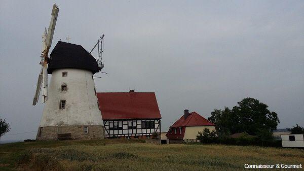 Mühle bei Würchwitz