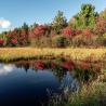 Indian Summer