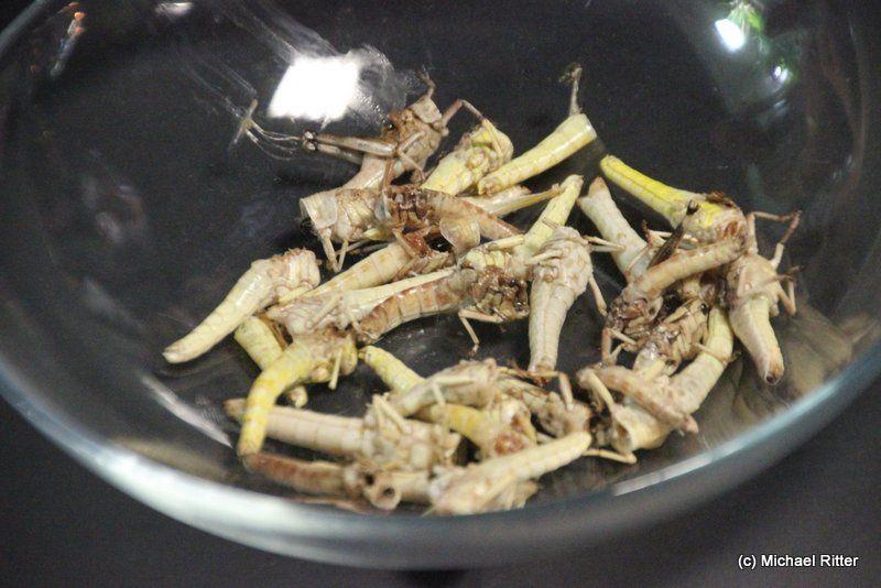 das fertige Grillgut