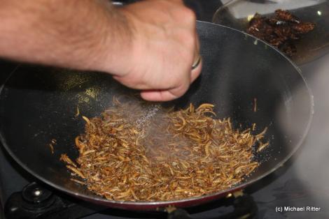 Mehlwürmer im Wok