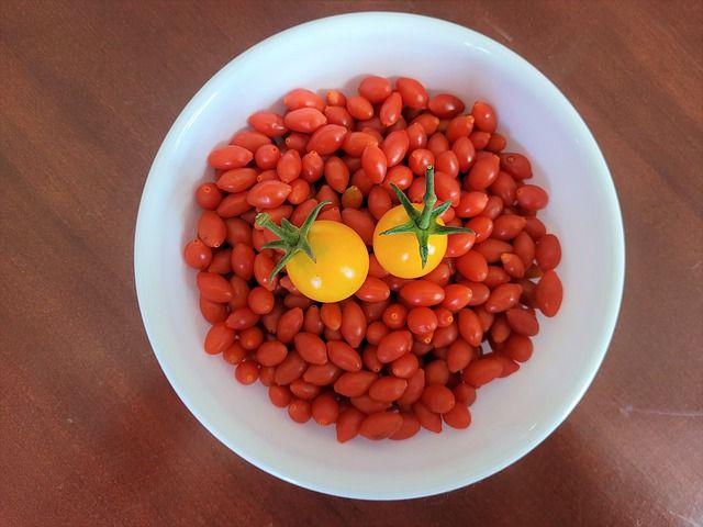 Gojibeeren