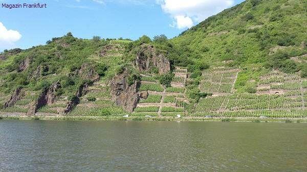 Steilhänge an der Mosel