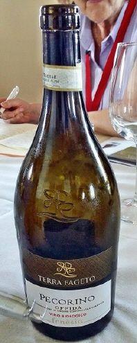 Pecorino von Terra Fageto