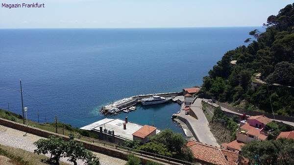 Der Hafen von Gorgona