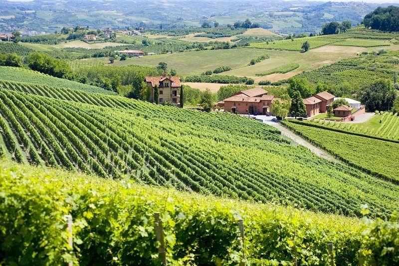 Weingut Tenuta Carretta im Piemont