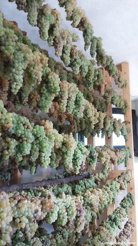 Passito aus Verdicchio