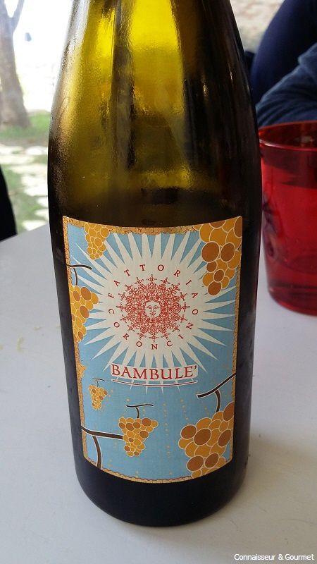 Bambule der Fattoria Coroncino