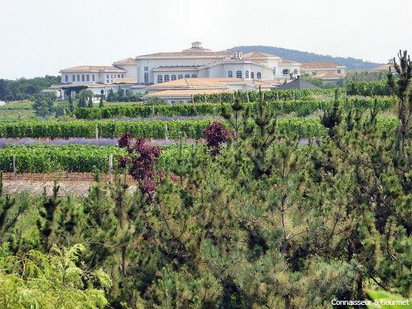 Wein Chateau Jindong