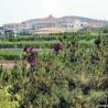 Wein Chateau Jindong