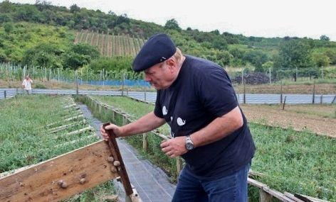 Schneckenzüchter Charlier bei der Arbeit