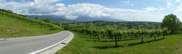 Weinlandschaft im Prosecco