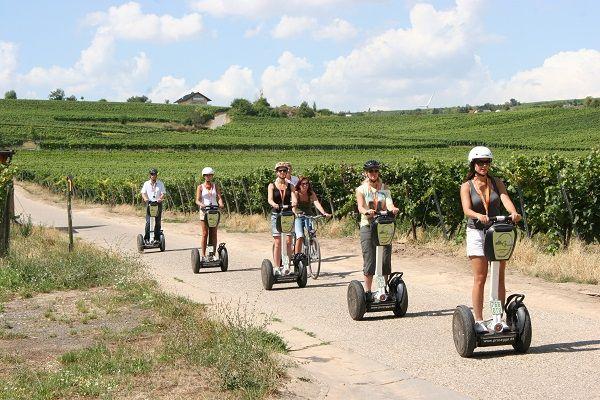 Fahrt mit dem Seway durch die Weinberge