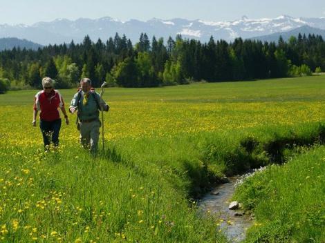 Wandern entlang der Wasserwege