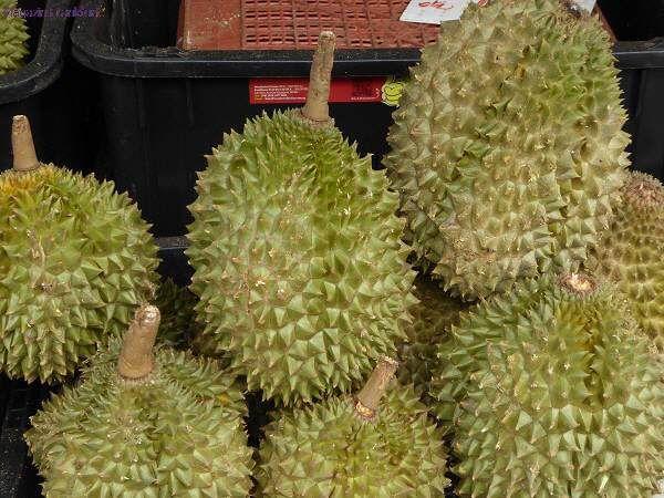 Durian