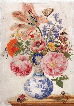 Maria Sibylla Merian, Chinesische Vase mit Blumen